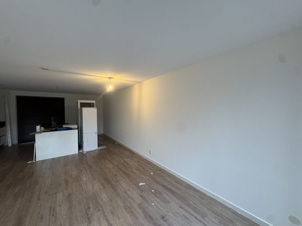 Lange woonkamer met laminaatvloer en een strakke witte wand, schuin belicht door een lamp
